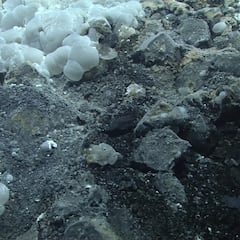 Este es el volcán submarino que puede entrar en erupción en breve cerca de la costa en EE.UU.