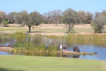 Este bello campo de golf de 9 hoyos ofrece al visitante una curiosa experiencia al estar rodeado de una gran variedad de animales.