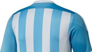 La camiseta oficial de Argentina.