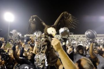 Freedom, la mascota de los Georgia Southern Eagles, una más del equipo.