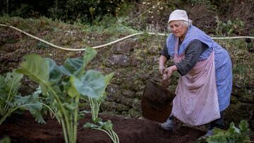 Una mujer realiza labores de cuidado en su huerto.