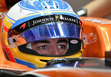 Fernando Alonso.