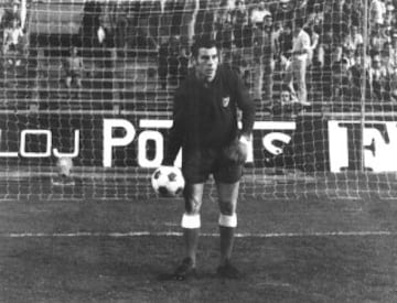 (Córdoba, 21 de enero de 1946): Jugaba de portero y su primer equipo fue el Córdoba, después pasaría por el Barcelona y por el Atlético de Madrid, donde se retiraría en 1980. Fue internacional hasta en cinco ocasiones. Es padre del también futbolista Pepe Reina, que juega en el Nápoles.