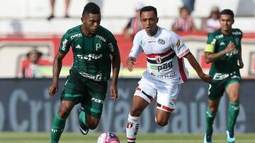 El delantero colombiano Miguel Ángel Borja en acción en el juego entre Palmeiras y Botafogo SP por la segunda fecha del Campeonato Paulista