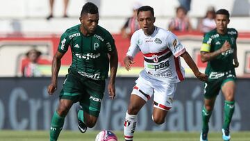 El delantero colombiano Miguel &Aacute;ngel Borja en acci&oacute;n en el juego entre Palmeiras y Botafogo SP por la segunda fecha del Campeonato Paulista