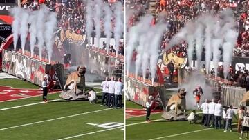 Fans’ wildly different reactions to Deshaun Watson and Nick Chubb's field entrance