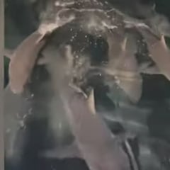 El vídeo de acción del día: perseguido por 200 tiburones