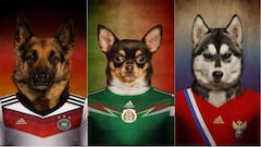 Así serían las selecciones de un Mundial canino