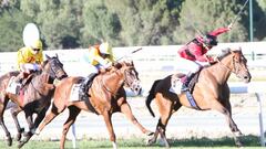 'Tuvalu' reclama su trono en el festival Día de los Campeones