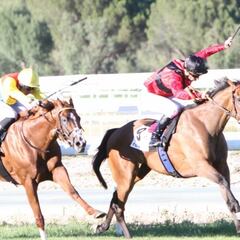 'Tuvalu' reclama su trono en el festival Día de los Campeones