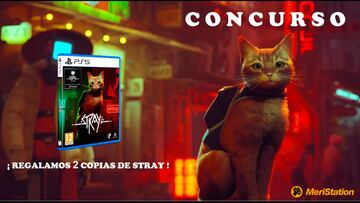 ¿Quieres ganar una edición física de Stray? ¡Participa!