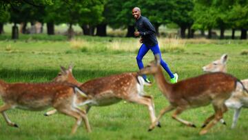 Mo Farah corre junto a los ciervos de Richmond Park