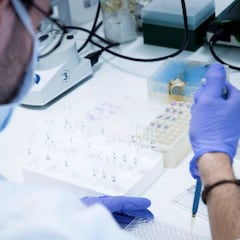 Coronavirus: ¿cuántas fases tiene el desarrollo y elaboración de una vacuna?