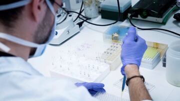 Coronavirus: ?cu¨¢ntas fases tiene el desarrollo y elaboraci¨®n de una vacuna?