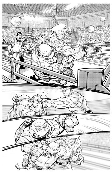 teenage mutant ninja turtles vs street fighter comic