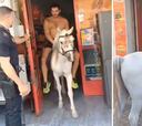 Un hombre va a hacer la compra montado a caballo y la Policía le desaloja de la tienda en Elche