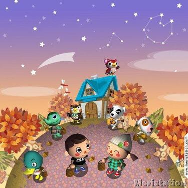 Animal Crossing: Wild World, Impresiones