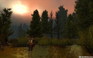 Dragon Age: Origins, Entrevista