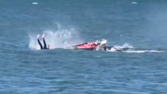 Vídeo: un windsurfista choca con una ballena en San Francisco