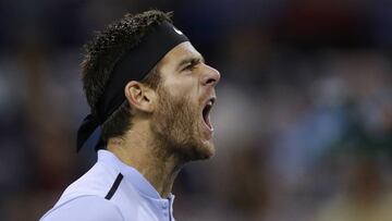 Del Potro: ''Messi representa a los argentinos''