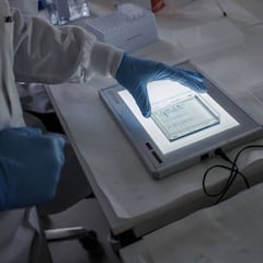 Coronavirus: how long does it survive on objects and surfaces?