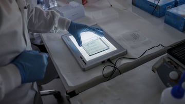 A researcher works on a vaccin against the new coronavirus COVID-19 at the Copenhagen&#039;s University research lab in Copenhagen, Denmark, on March 23, 2020. - At Copenhagen university, a team of about 10 researchers is working around the clock to devel