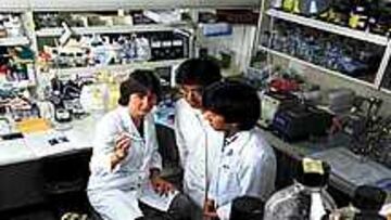 BAJO SOSPECHA. A la derecha, uno de los integradores de aminoácidos ramificados o BCAA, similar al retirado en Italia.