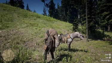 Solidaridad entre vaqueros en Red Dead Online. Jugador joven pero veterano ayuda a un novato de 55 años