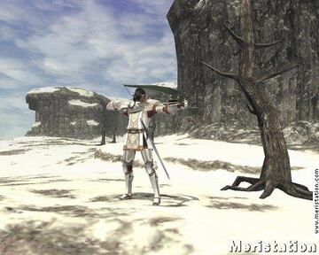 Captura de pantalla - mini_ffxi_meri_24.jpg