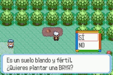 pokemon rubi zafiro glitch bayas berry glitch