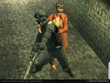 Captura de pantalla - matrix_ps2_01.jpg
