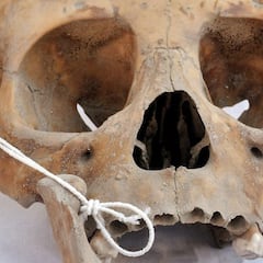 Encuentran un cráneo y huesos humanos en una playa de Tarragona