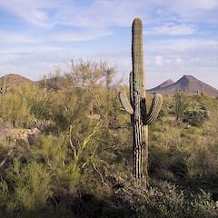 ¿Dónde se encuentra el lugar más caliente de la Tierra y cuántos grados alcanza?