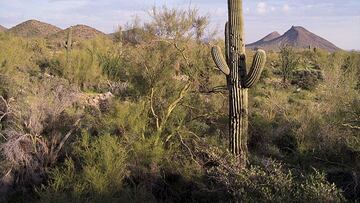 ¿Dónde se encuentra el lugar más caliente de la Tierra y cuántos grados alcanza?