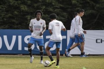 La Selección Colombia necesita ganar para no depender de otro resultado y así clasificar a los cuartos de final de la Copa América de Chile 2015.