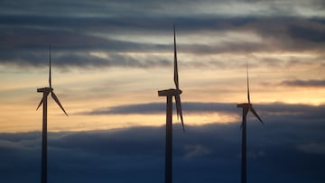 Un parque eólico, a 28 de marzo de 2025, en Muras, Lugo, Galicia (España). El Tribunal Supremo ha dictado una sentencia que despeja el futuro de muchos proyectos de la industria eólica en Galicia. El hecho de que dos o más instalaciones de parques “compartan instalaciones de conexión” no comporta, ineludiblemente, que se deba considerar “la existencia de un único proyecto de parque eólico a efectos de su evaluación medioambiental, sino que habrá que examinar en cada caso las circunstancias concurrentes”.
28 MARZO 2025;ENERGÍA EÓLICA;PARQUE EÓLICO;ENERGÍA;POLÍTICA MEDIOAMBIENTAL;MEDIOAMBIENTE;SENTENCIA;TRIBUNALES;
Carlos Castro / Europa Press
28/03/2025