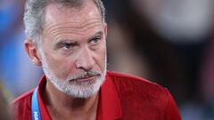 El Rey Felipe VI, presidente del Comité de Honor de las Finales del Campeonato del Mundo de Triatlón