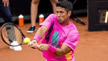 Verdasco vence a Pablo Carre?o y accede a semifinales