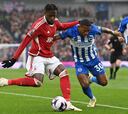 Brighton-Nottingham Forest, en directo