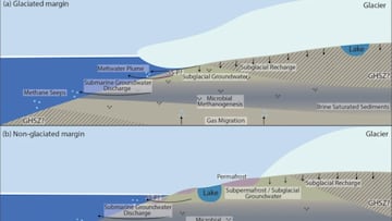 Alerta científica por este descubrimiento bajo el océano: “Cada vez es más normal”