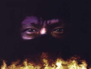 Last Ninja: The Return (PC)