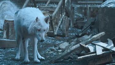 Ni los Dothrakis ni los caminantes blancos, este es uno de los reyes del norte que estuvo en todas las batallas y vivió para contarlo