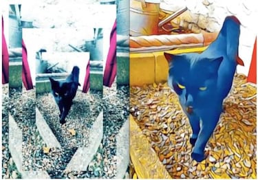 Cómo crear GIFs con la app de Facebook para tu smartphone