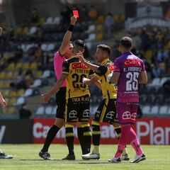 Hace 212 fechas: la cifra récord que enciende el Torneo Nacional