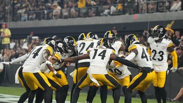 Though the Steelers will be happy with the win they secured this past weekend, they will undoubtedly be more pleased to be home safe and sound.