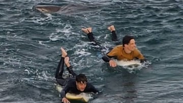 Dos surfistas remando huyen de un tibur&oacute;n en la playa Bells Beach (Australia). 