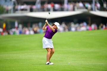 La mejor golfista en la historia del país se retiró en 2010, su último título fue el Navistar LPGA Classic, mismo que conquistó en 2009. Para levantar el trofeo, debió superar a la joven promesa del golf estadounidense y mundial, Michelle Wie. Ochoa venció a la prodigio de 18 años por cuatro golpes.