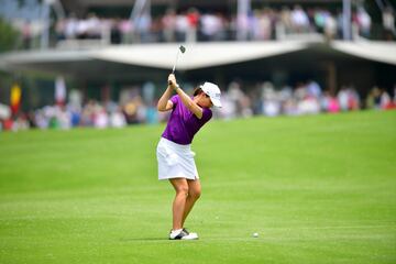 La mejor golfista en la historia del país se retiró en 2010, su último título fue el Navistar LPGA Classic, mismo que conquistó en 2009. Para levantar el trofeo, debió superar a la joven promesa del golf estadounidense y mundial, Michelle Wie. Ochoa venció a la prodigio de 18 años por cuatro golpes. 