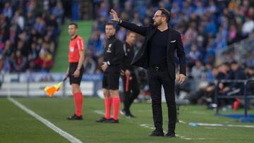 Bordalás: “Es una derrota excesiva y dolorosa”