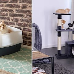 ¿Tienes un gato? Estos 10 productos son básicos para el bienestar de tu primera mascota